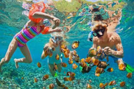 Апартаменти Seashell